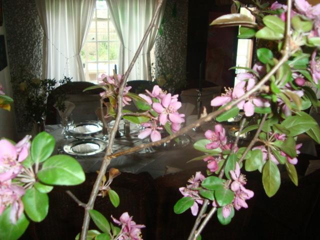 44 On Ennis Guest Lodge And Restaurant - No Load Sheddding Ermelo Ngoại thất bức ảnh